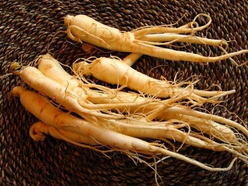 rădăcină de ginseng pentru a crește potența după 60